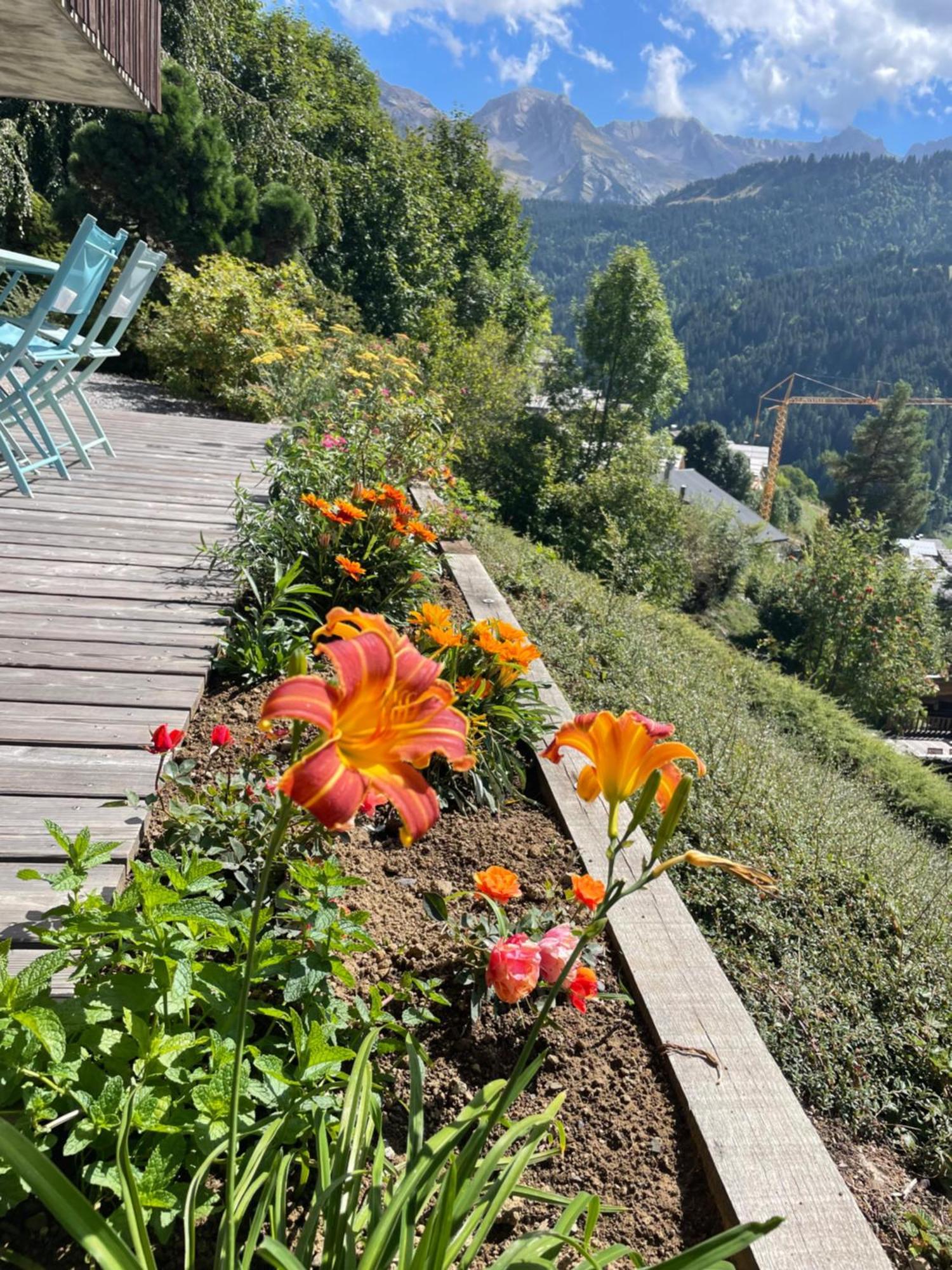 La Marmotte Qui Papote Apartment Le Grand-Bornand Exterior photo